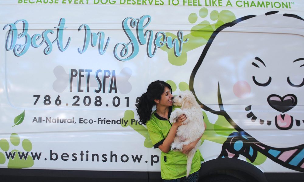Faress Hattar of Best In Show Pet Spa 