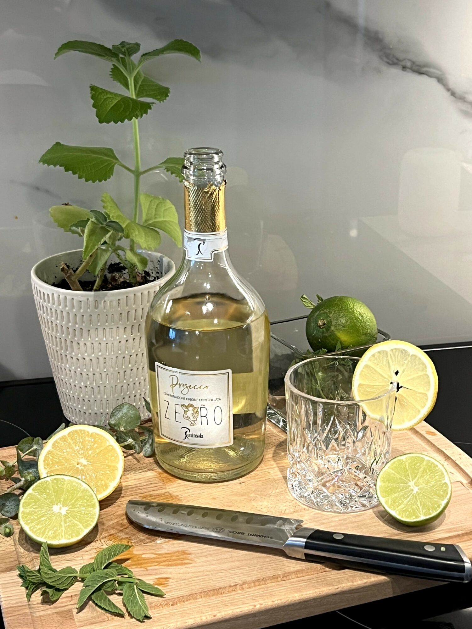 Bottle of clear liquid, lemon slices, a potted plant, glass, and knife on wooden cutting board.