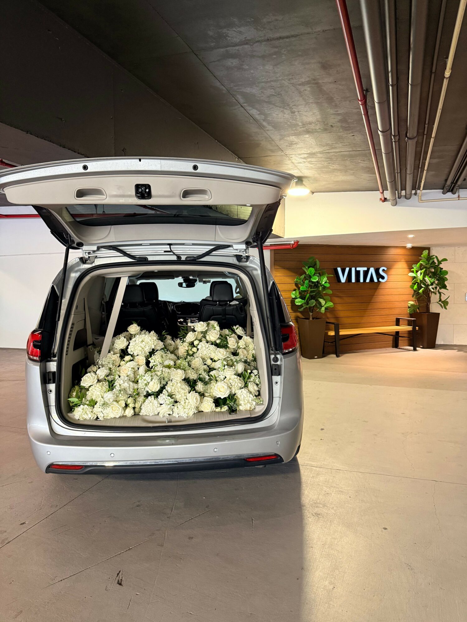 Open vehicle trunk filled with white flowers inside a parking garage near a wall with a sign that reads 'VITAS'.