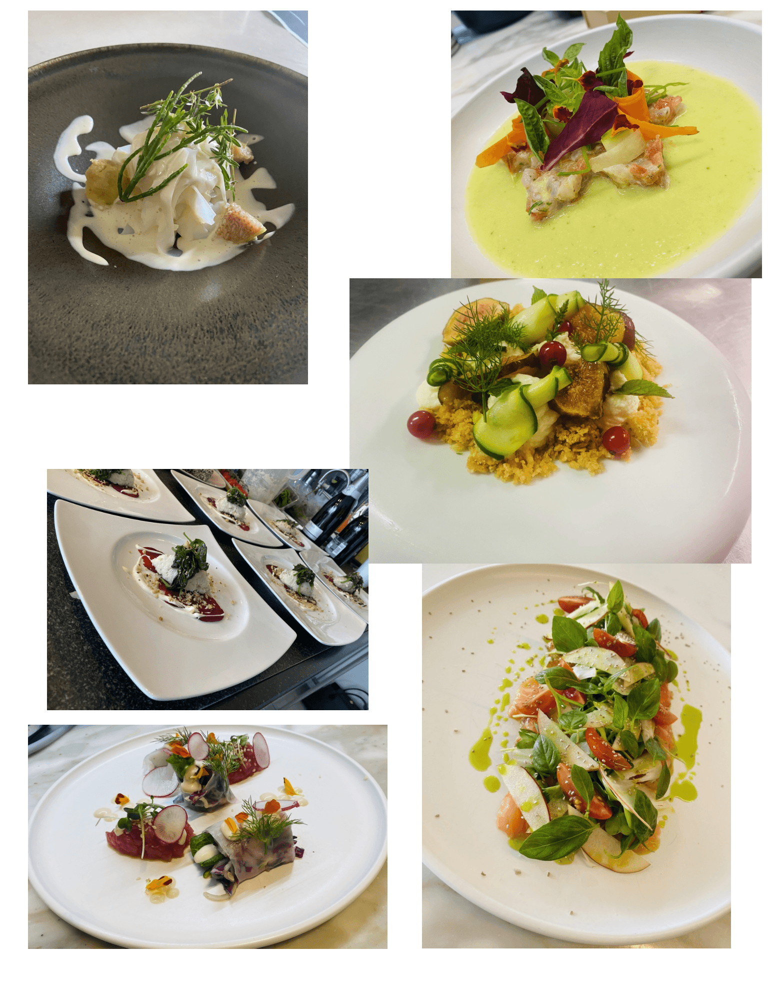 Six images of plated gourmet dishes with various ingredients and garnishes on different plates.