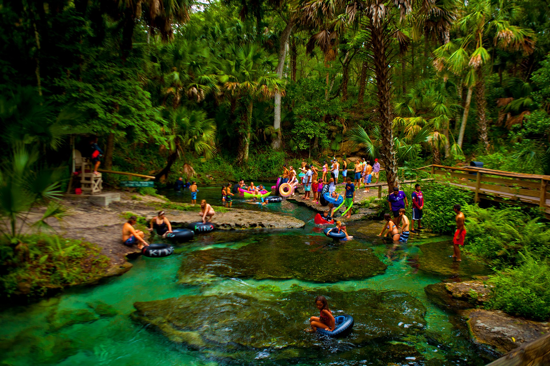 People swimming and relaxing in a river surrounded by lush green trees and tropical plants.