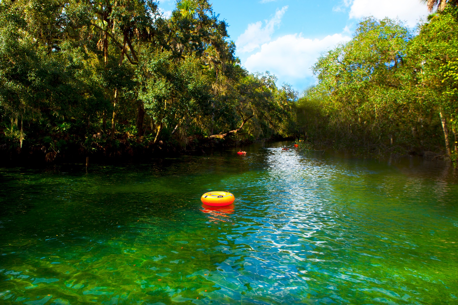 River with green water, surrounded by trees, with a floating orange life ring in the center.