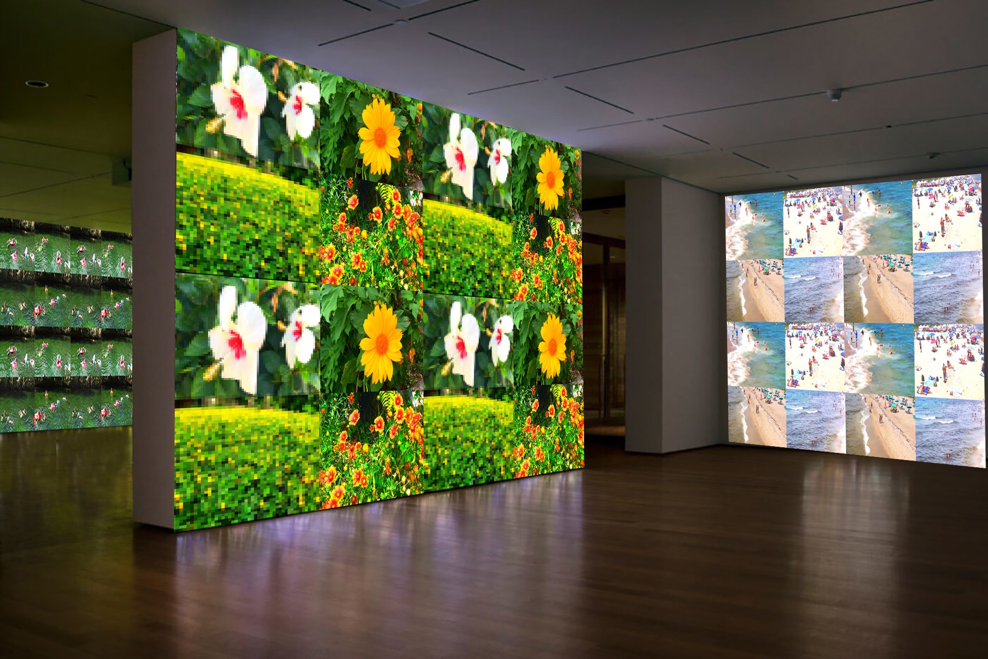 Two large digital screens displaying colorful floral and landscape images in an indoor gallery space.