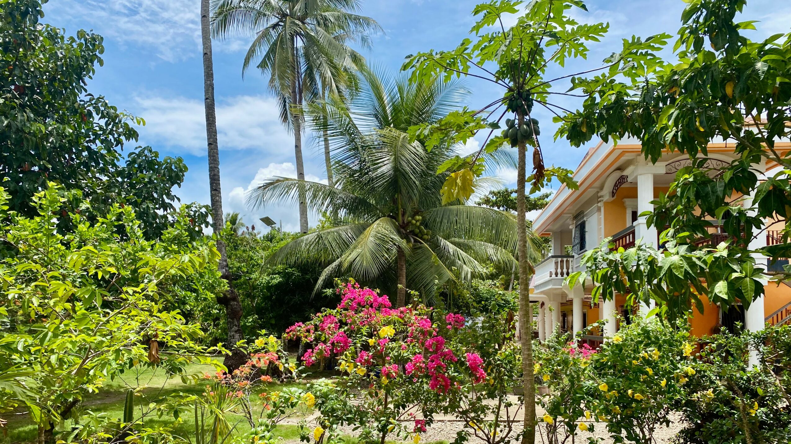 Lush garden with palm trees, flowering bushes, and a building with balconies in the background.