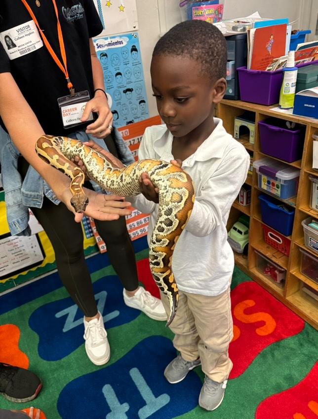 Child holding a large snake in a classroom with colorful storage bins and a patterned rug.