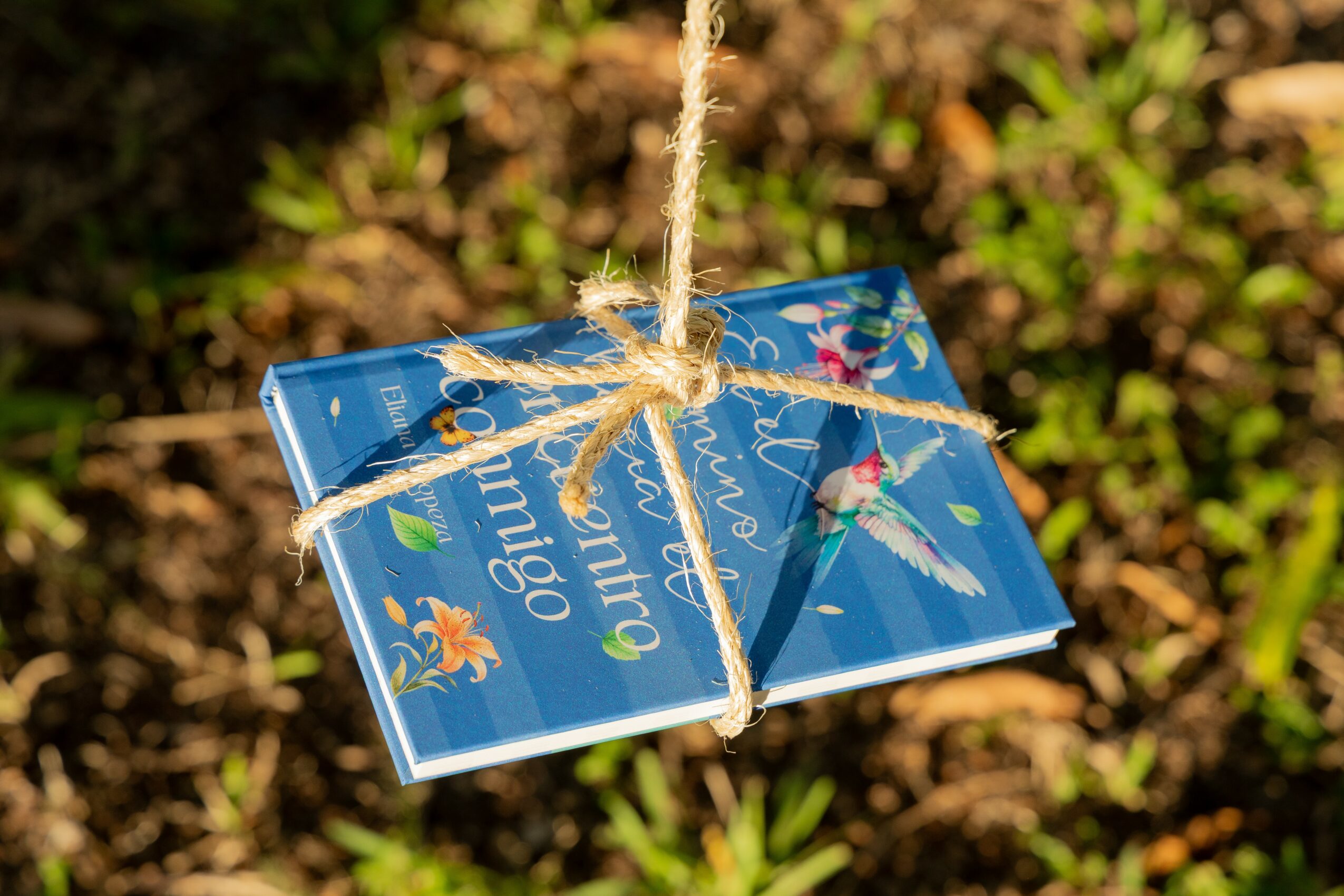 A small blue book tied with a string and bow, hanging above soil and green plants.