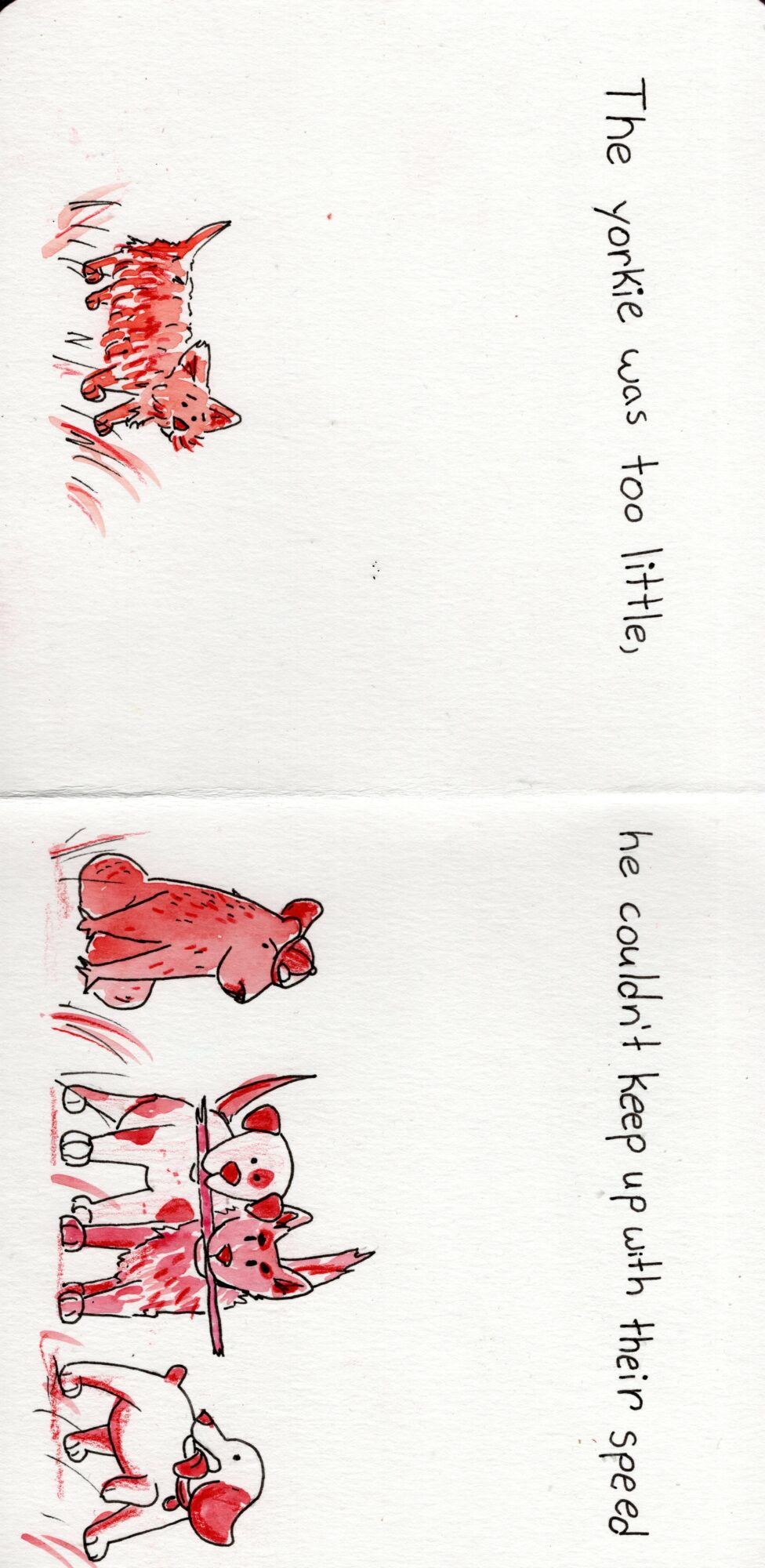 Four red and white dogs in different poses, with text reading 'The Yorkie was too little, he couldn't keep up with his speed.'