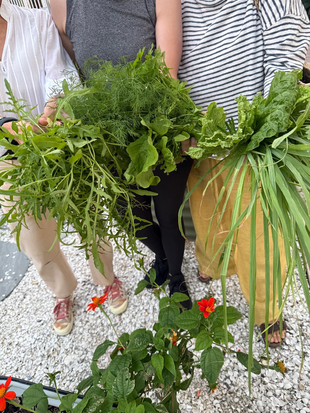 Three people holding large baskets filled with green leafy plants and herbs, standing outdoors on gravel.