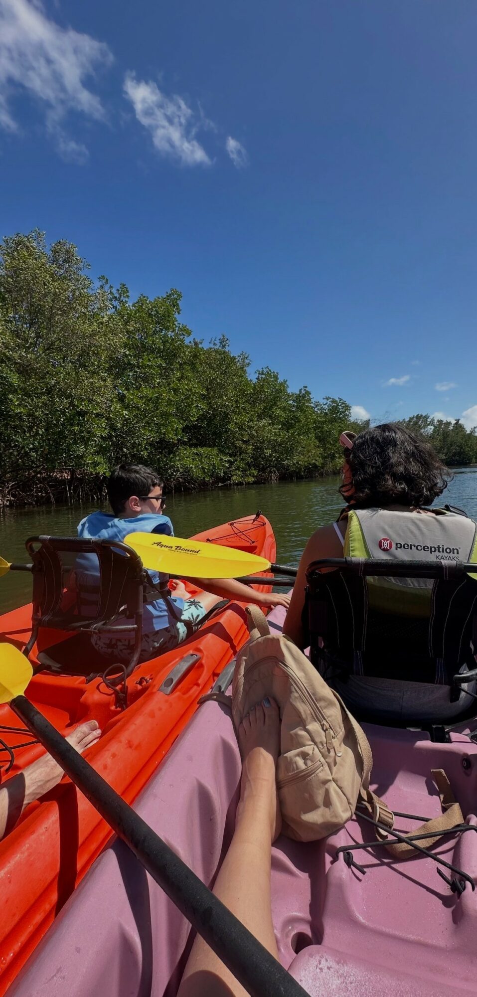 People kayaking on a river with green trees and a blue sky, some wearing life jackets, paddles visible, and a backpack on the kayak.