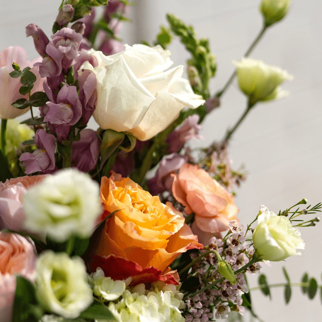 Close-up of a colorful bouquet with white, pink, orange, and purple flowers and green foliage.