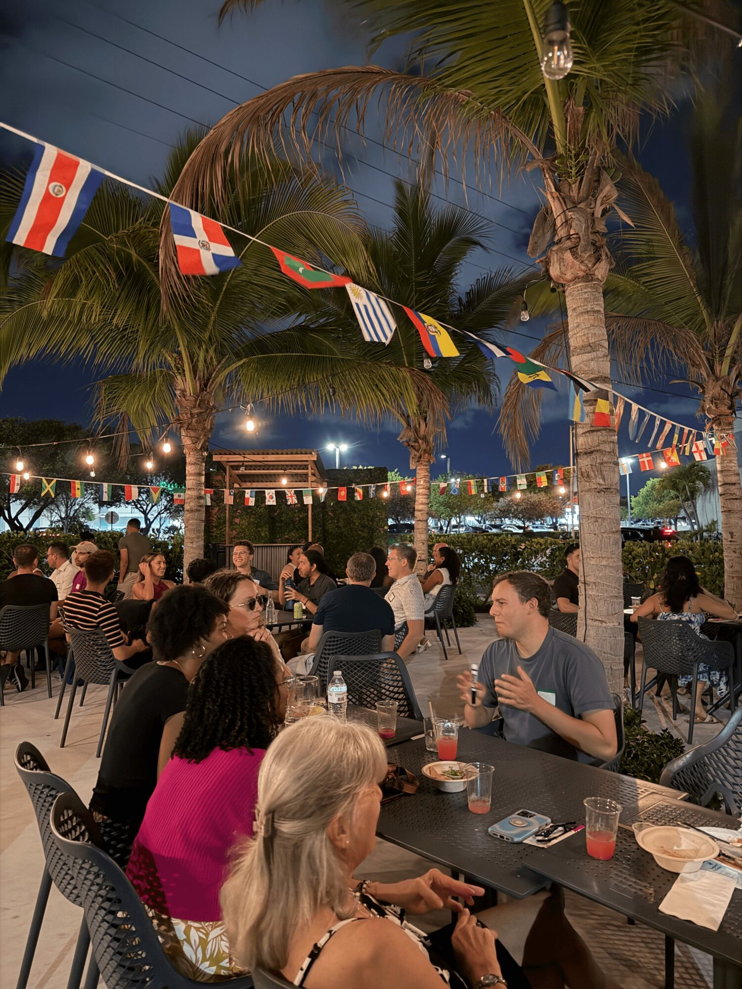Outdoor dining area with people sitting at tables under palm trees and string lights, flags hanging overhead, evening setting.
