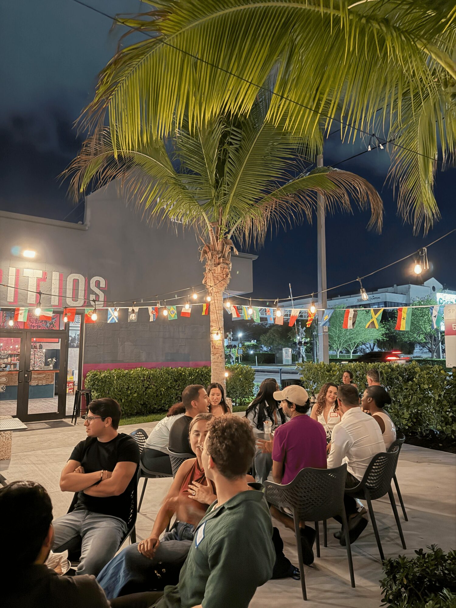 People sitting at tables outdoors under a large palm tree at night, with string lights and colorful banners overhead.
