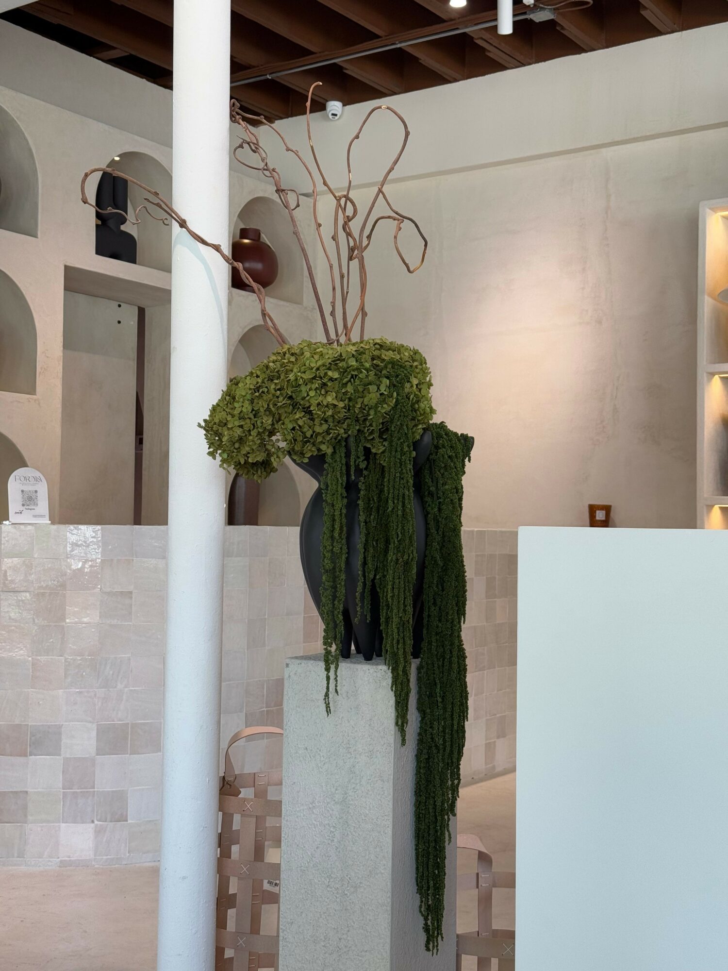 A tall cactus with a rounded top and a smaller cactus beside it, placed on a white surface indoors.