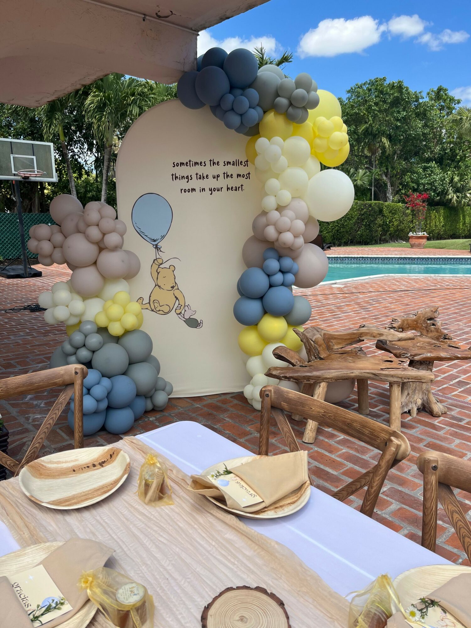 Outdoor celebration with balloon decorations, a dog, and a table set with plates and napkins, under a blue sky.