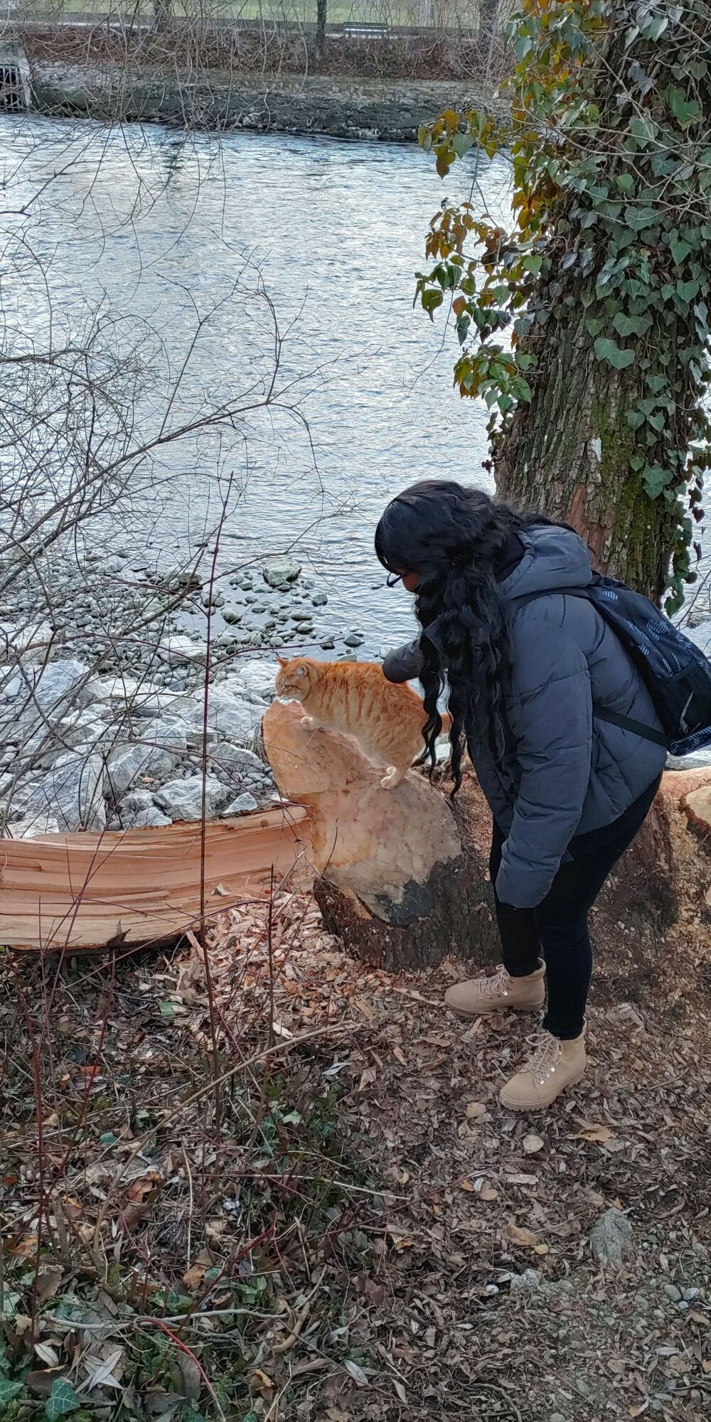 Person bending over near a dog by a body of water, with trees and a cloudy sky in the background.