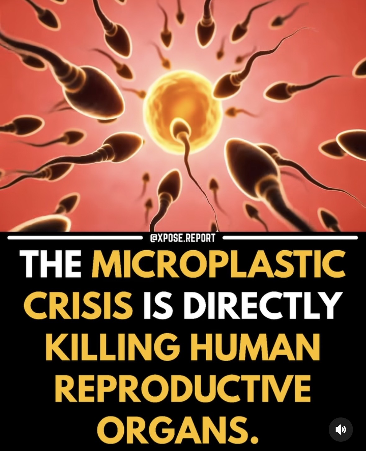 Illustration of sperm cells surrounding an egg cell against a pink background, with bold text about a reproductive crisis.