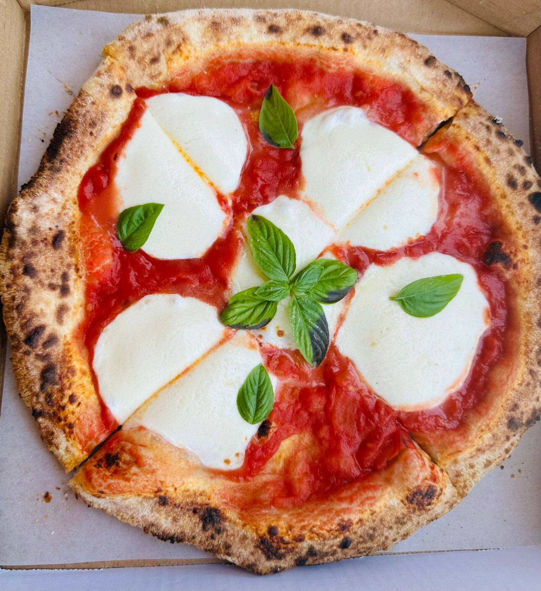 Pizza with tomato sauce, mozzarella, and basil leaves in a box.