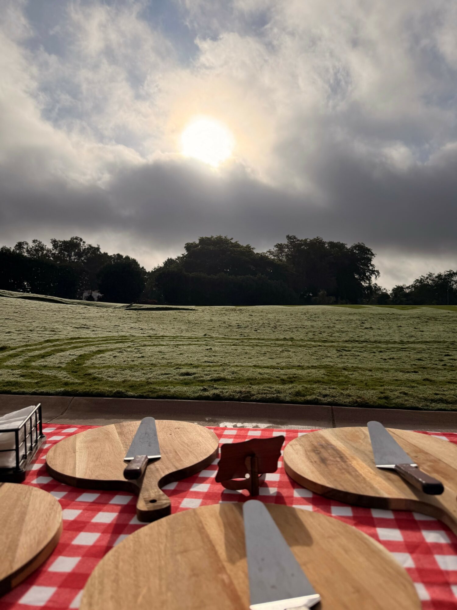 Outdoor scene with a grassy field, trees, and a cloudy sky with the sun shining through, viewed from a picnic table.