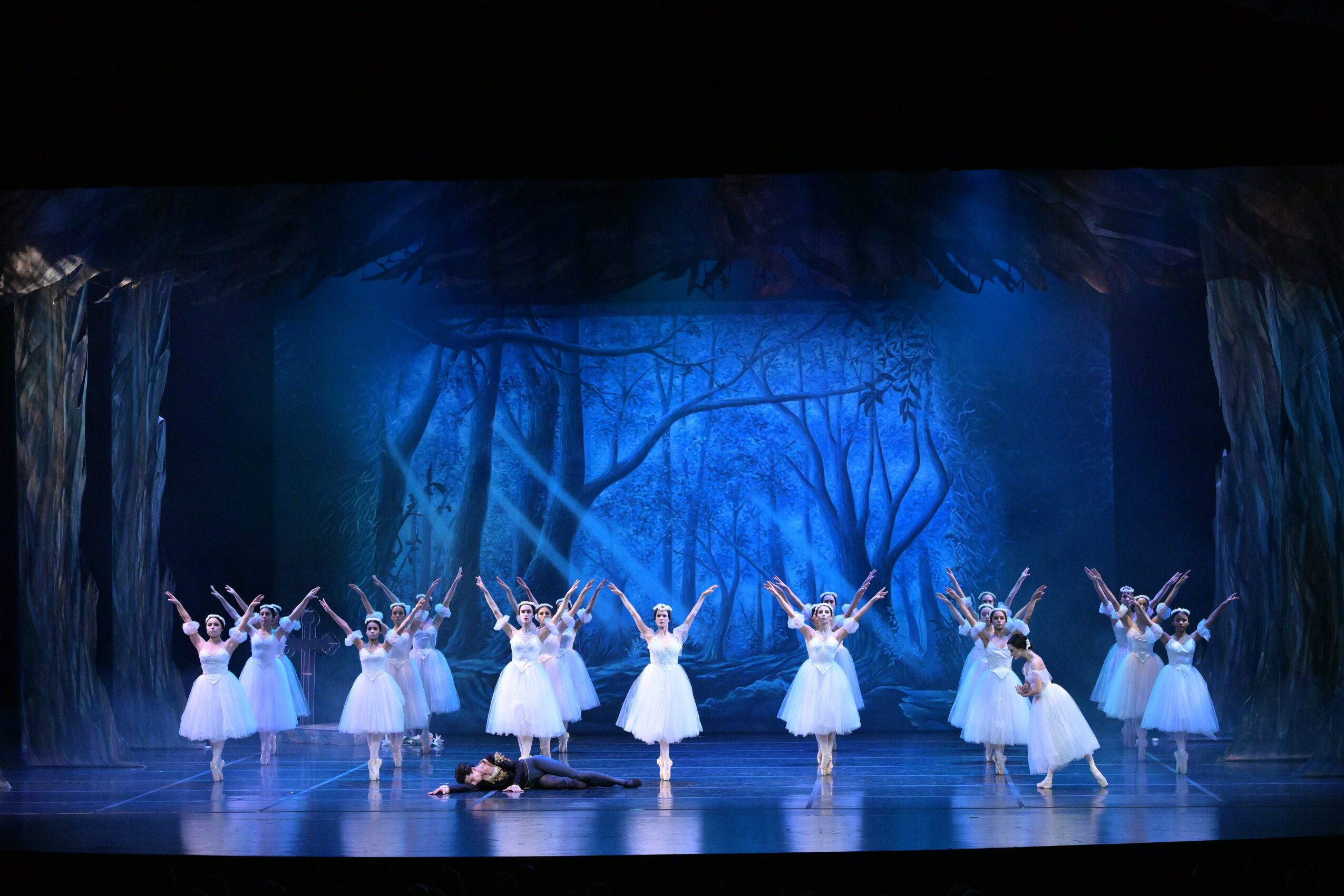 Group of ballet dancers in white tutus performing on stage with a forest backdrop, some with arms raised, in a dance pose.