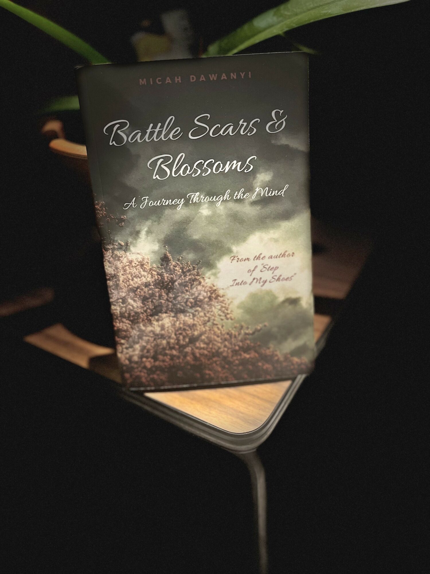 Book titled 'Battle Scars & Blossoms' with a nature scene on the cover, placed on a wooden surface in a dark environment.