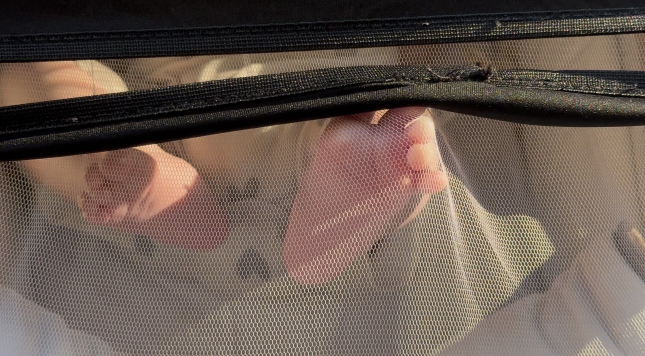 View of feet and legs seen through a mesh screen, with toes visible and a hand holding a green object.
