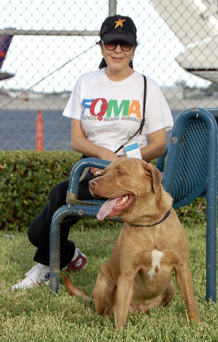 Child wearing sunglasses and a cap sitting on a blue chair outdoors with a brown dog sitting nearby, mouth open.