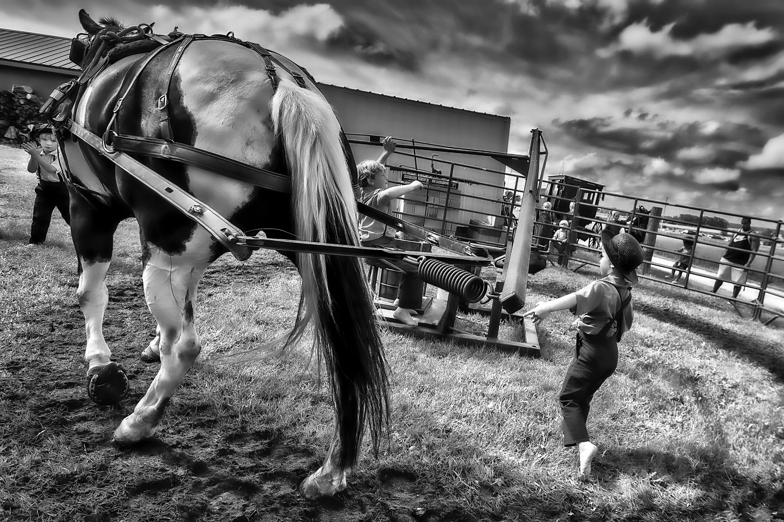 Person holding a horse's harness in a field with a cloudy sky, fence, and structures in the background.