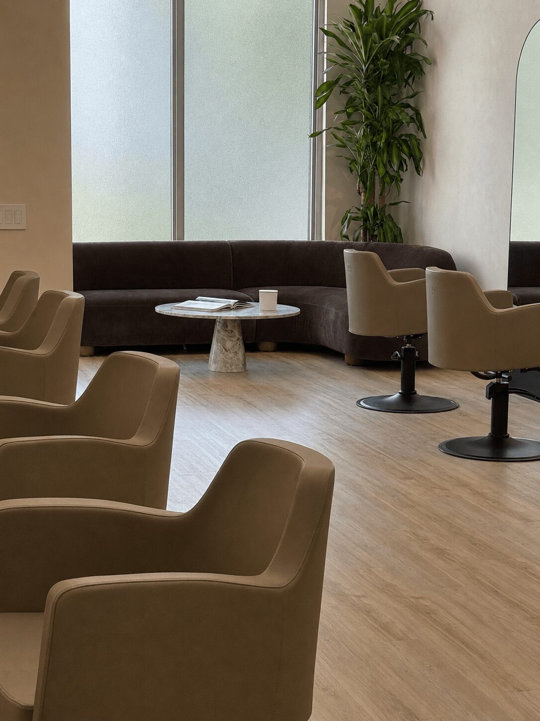 Waiting area with beige chairs, a dark sofa, a small round table, and a tall plant near frosted windows.