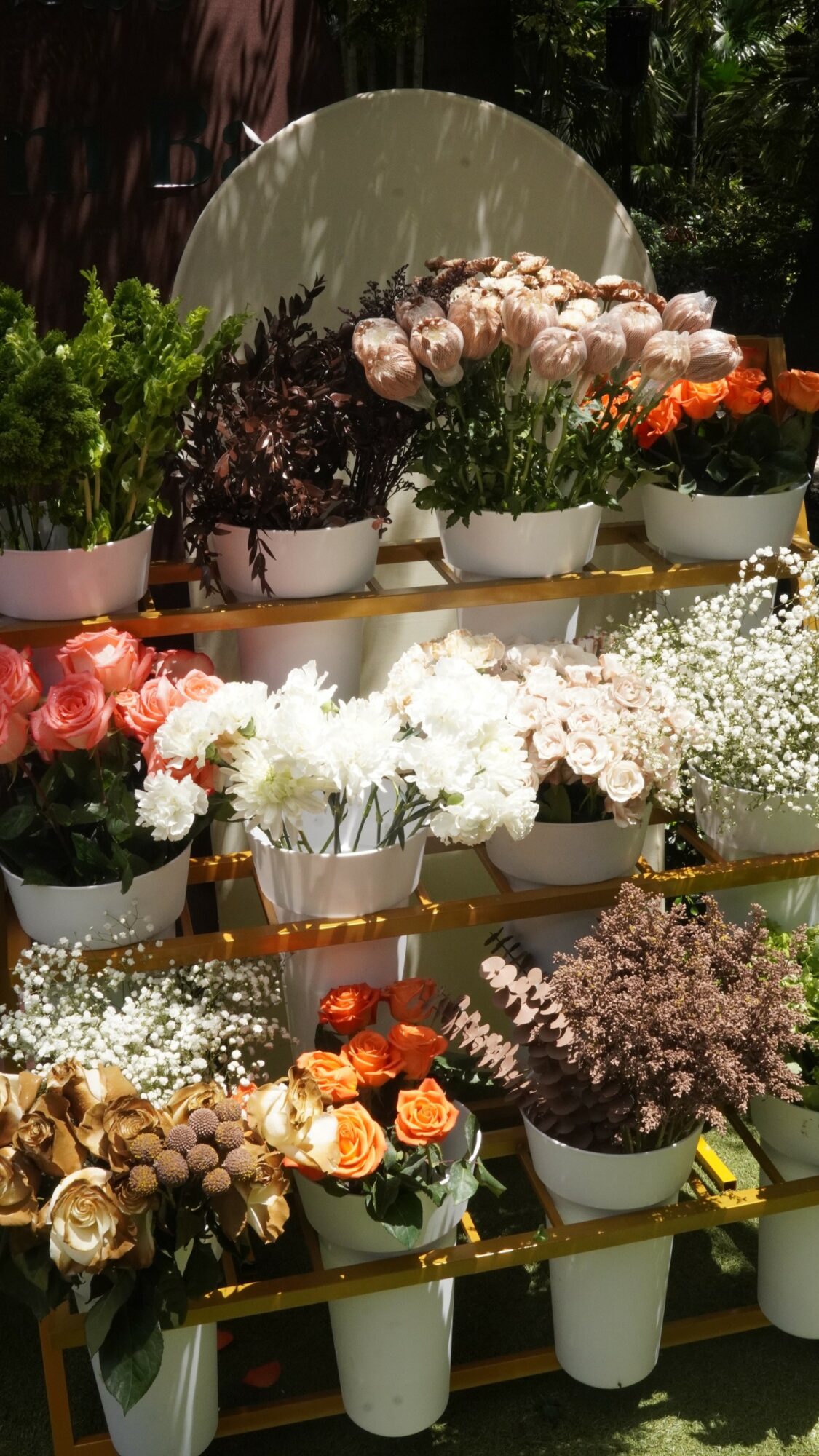 Display of various potted flowers and plants arranged on shelves outdoors, with a mirror and greenery in the background.