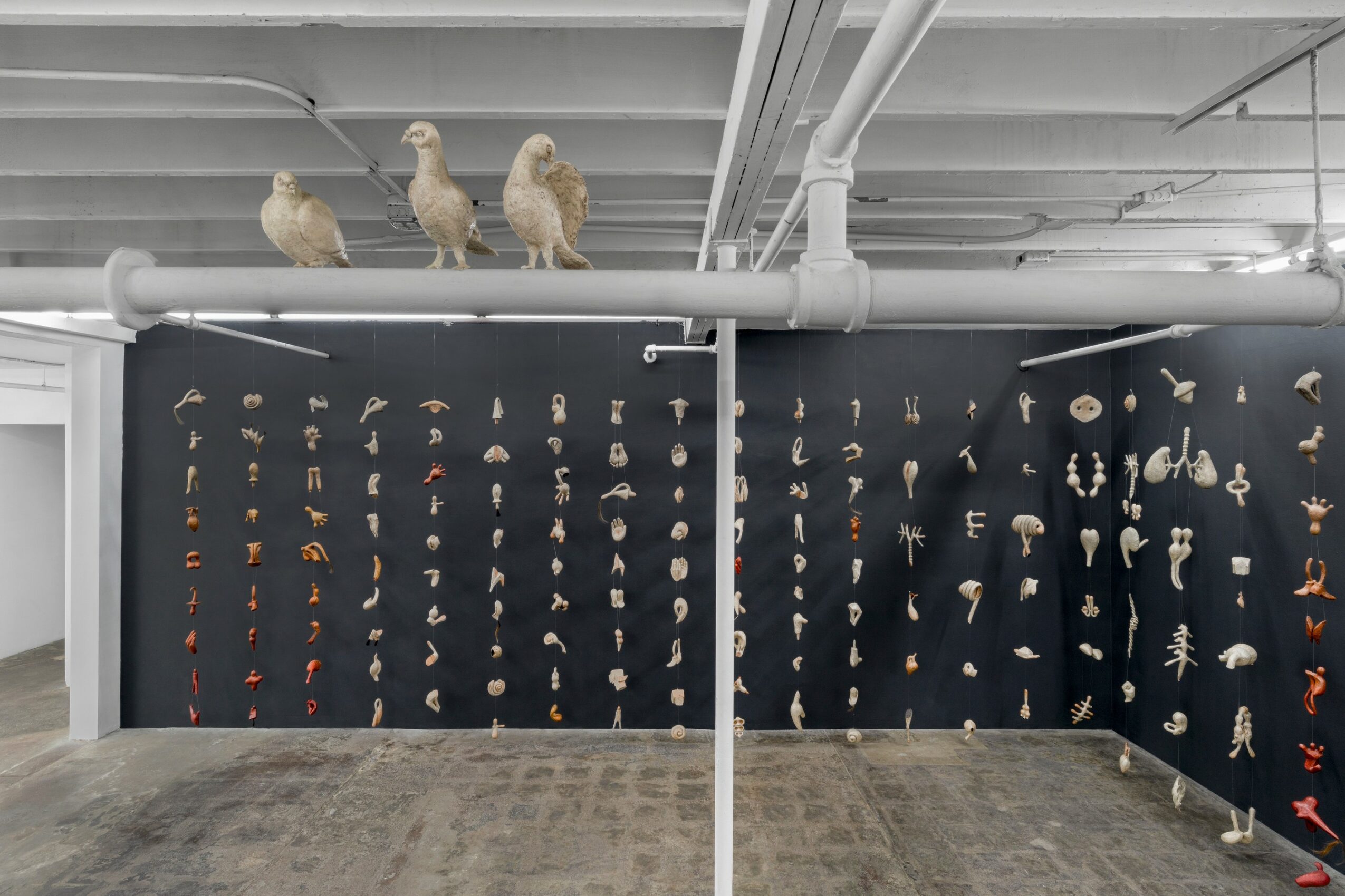 Display wall with various objects and three pigeons on ceiling pipe, in an industrial space, concrete floor, black wall background.
