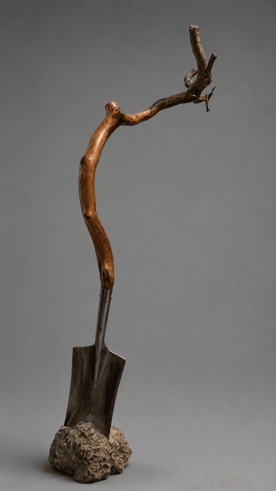 A twisted, leafless tree branch mounted on a rock, with a gray background.