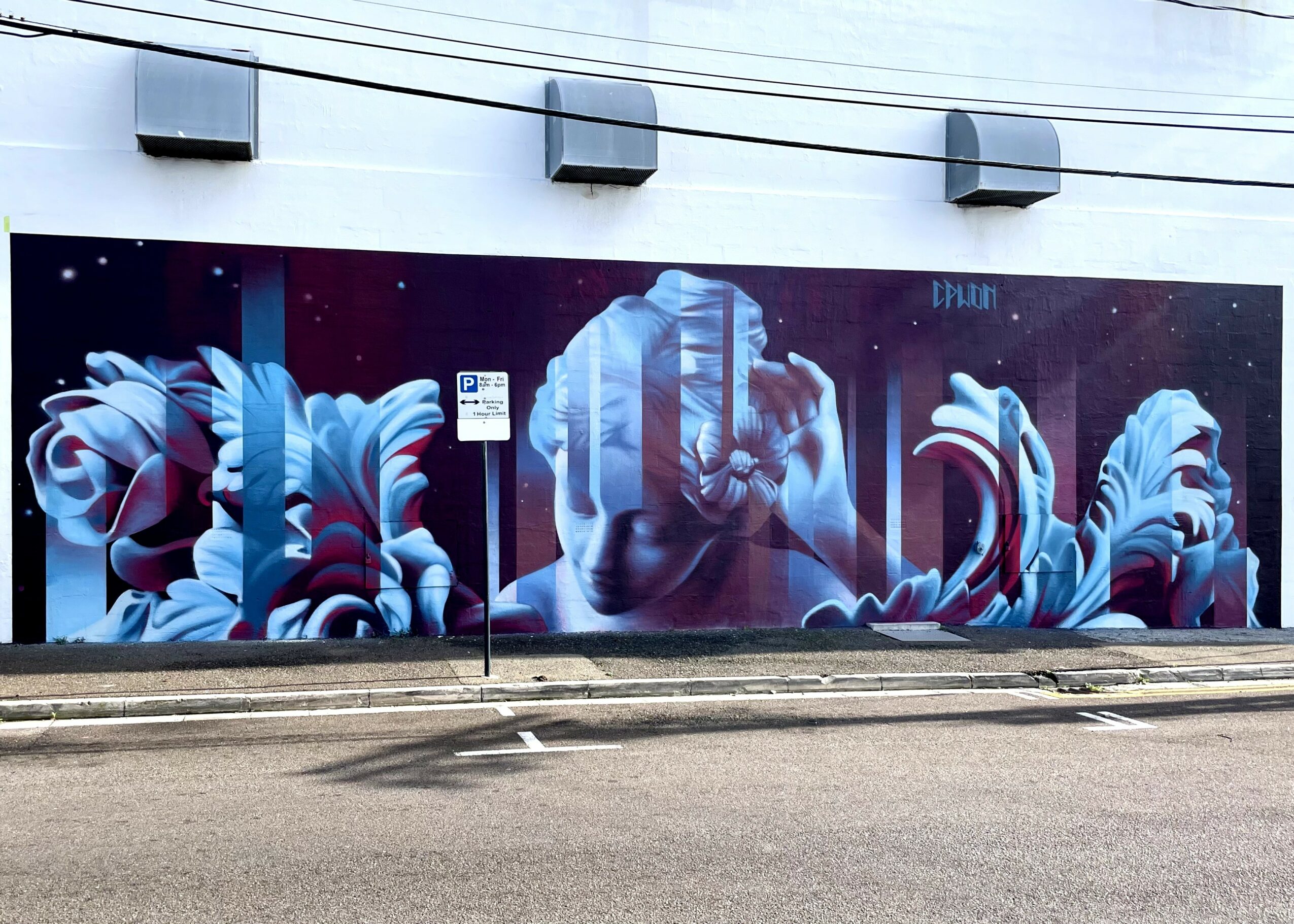 Colorful mural of a stylized face with flowing abstract shapes on a wall, with a parking sign in front.