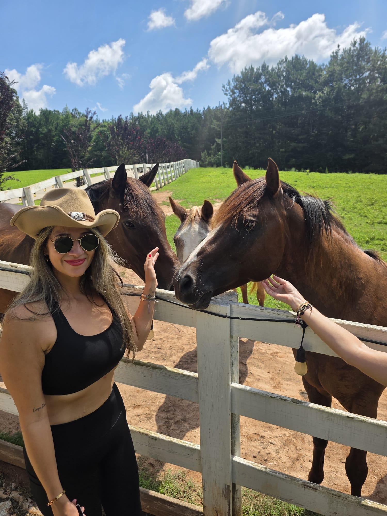 Woman wearing sunglasses and a hat standing near a fence with three horses outdoors on a sunny day.