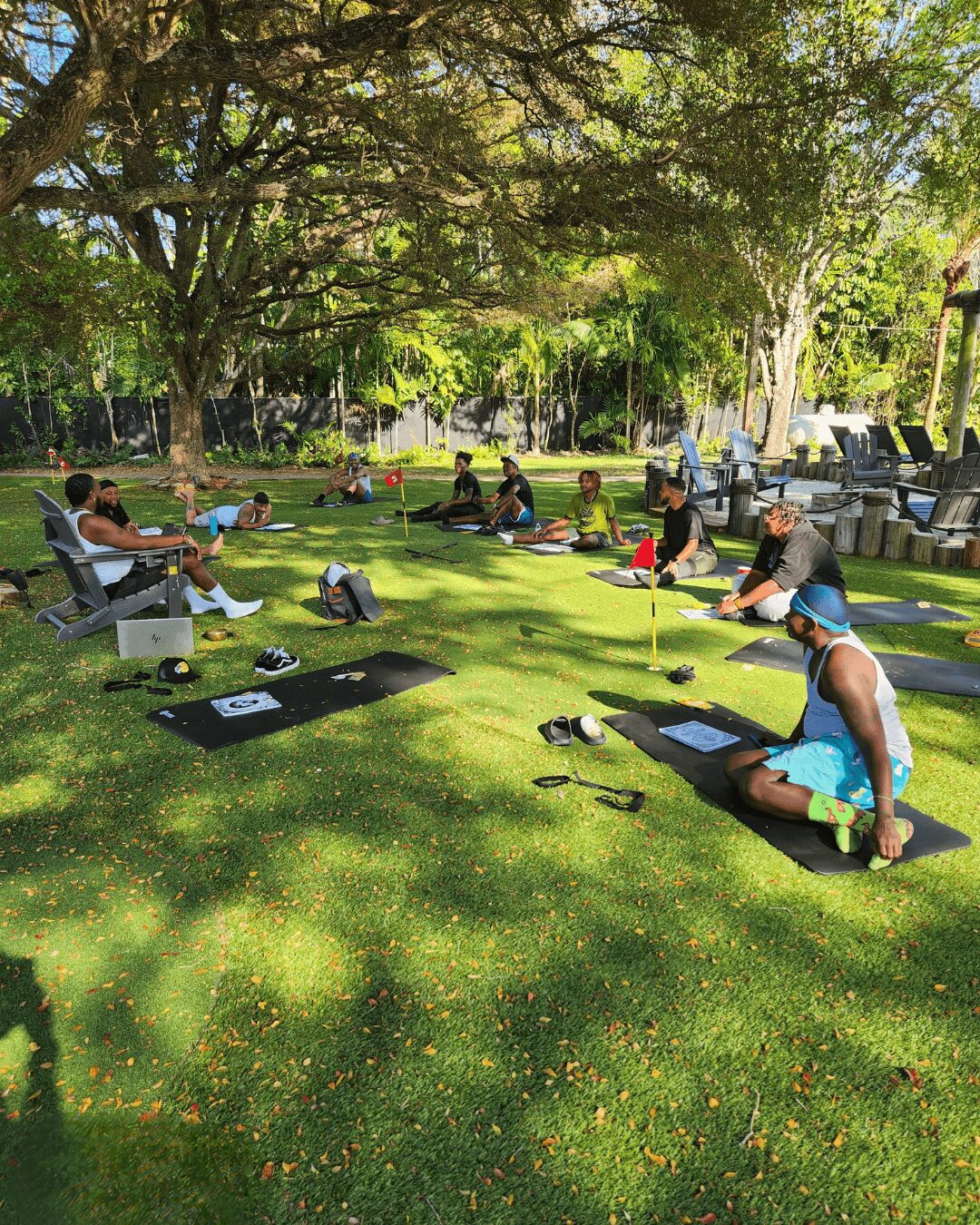 People practicing yoga outdoors on mats in a park with trees and sunlight, some sitting and some stretching.