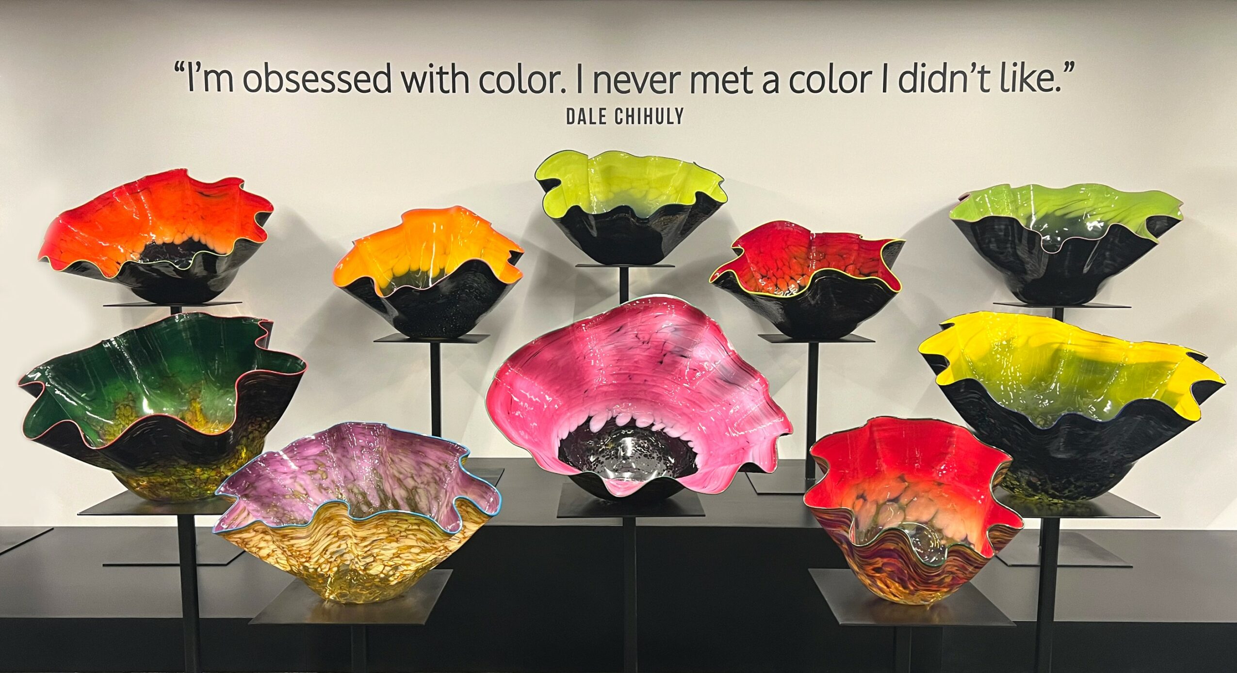 Colorful ceramic bowls arranged on black stands with a quote about color above them.