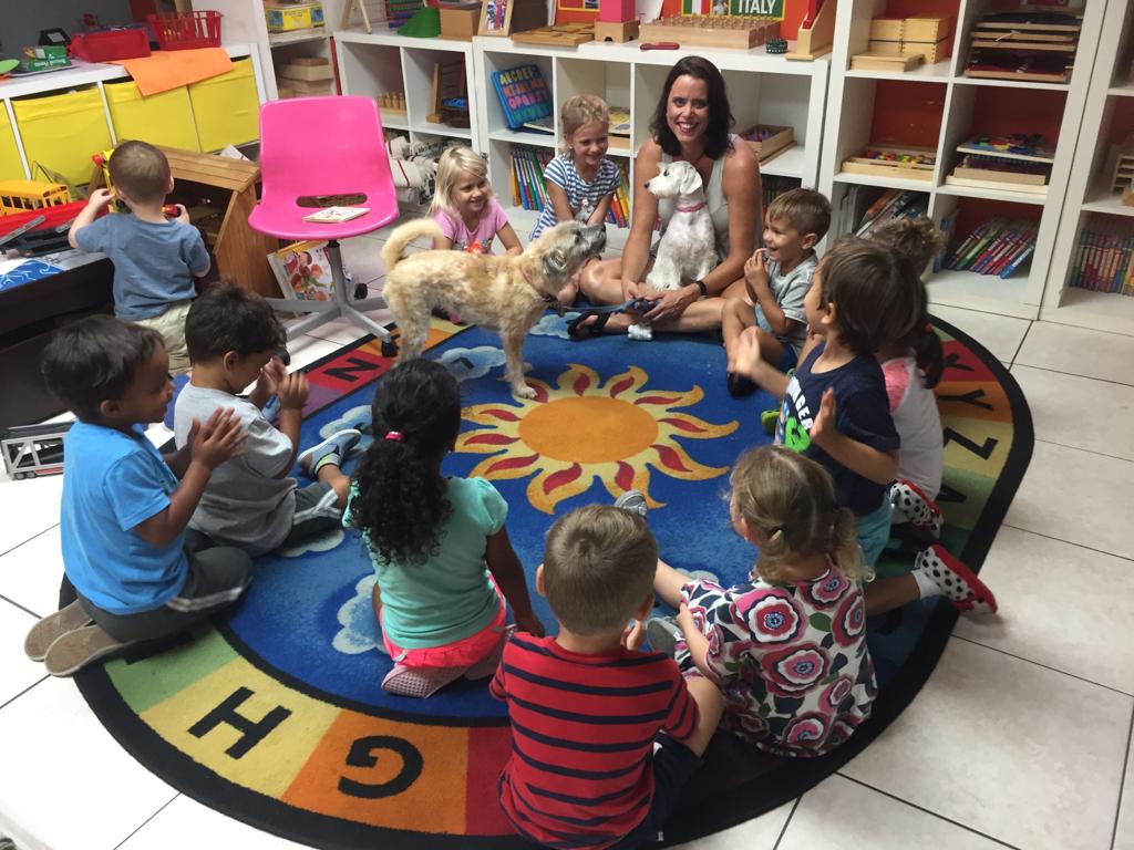 Group of children and a woman sitting in a circle on a colorful rug in a classroom, with bookshelves in the background.
