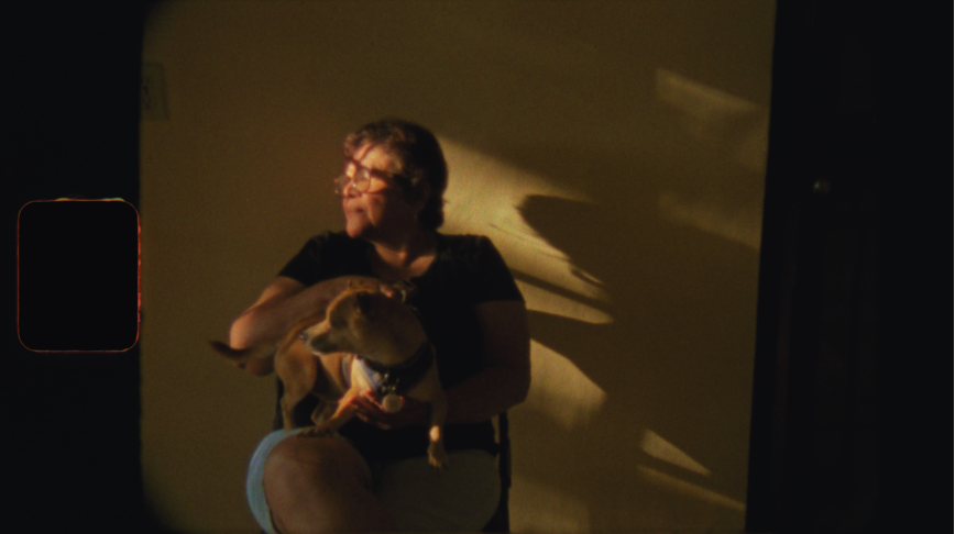Person holding a cat, sitting in a dimly lit room with a shadow on the wall behind.