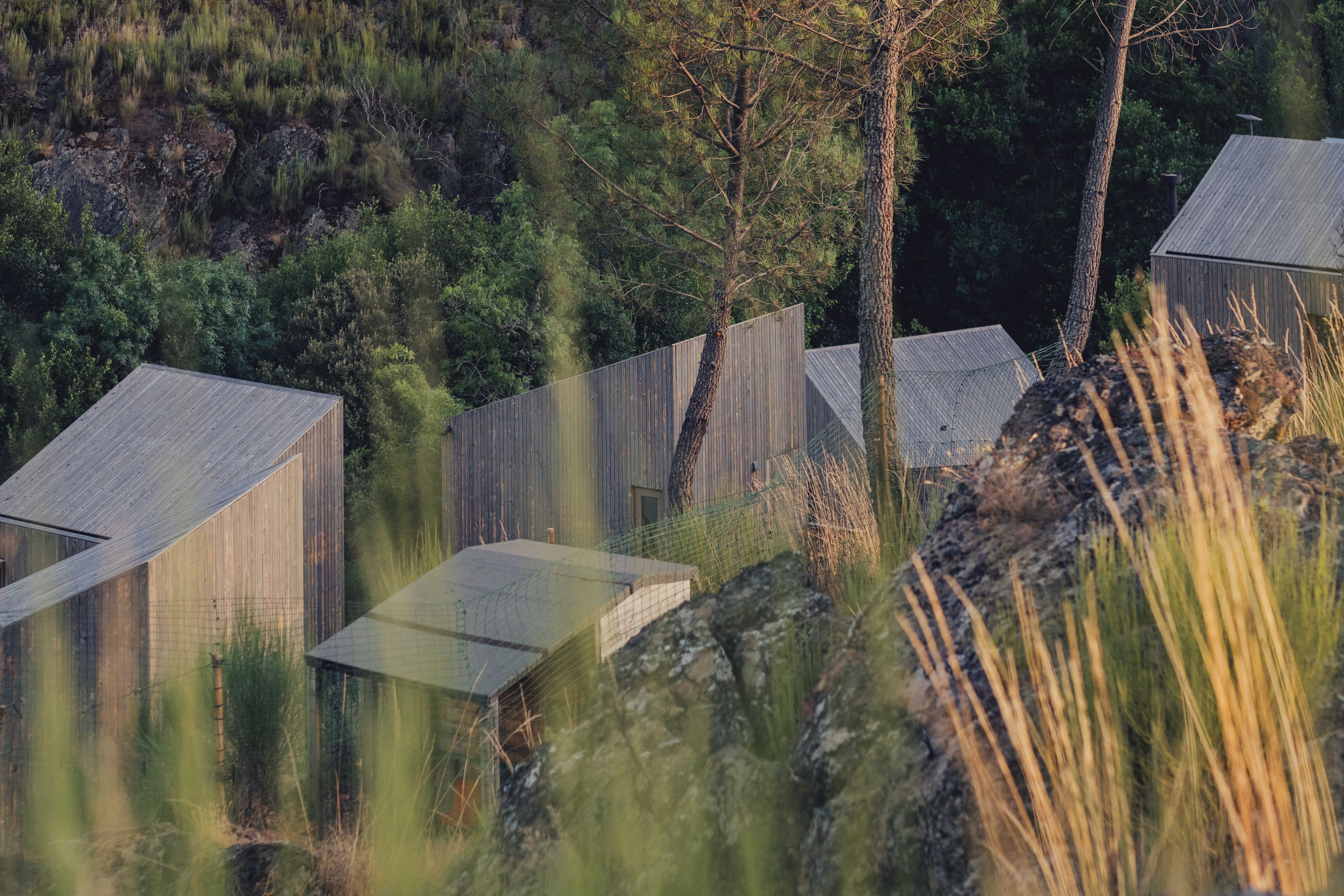 Aerial view of small buildings with metal roofs among trees and tall grass, with rocks nearby.