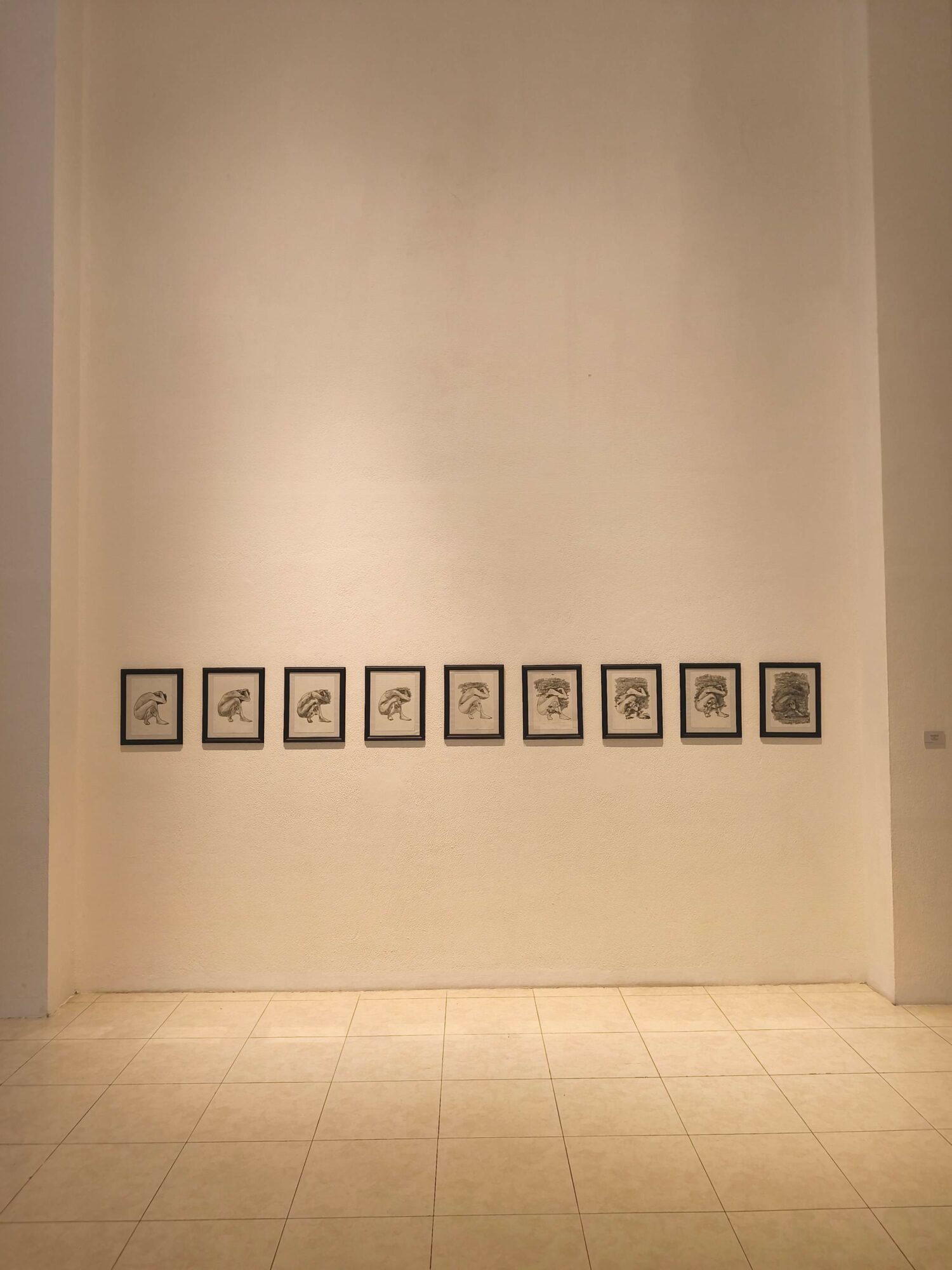 Gallery wall with nine framed artworks arranged horizontally on a white wall.