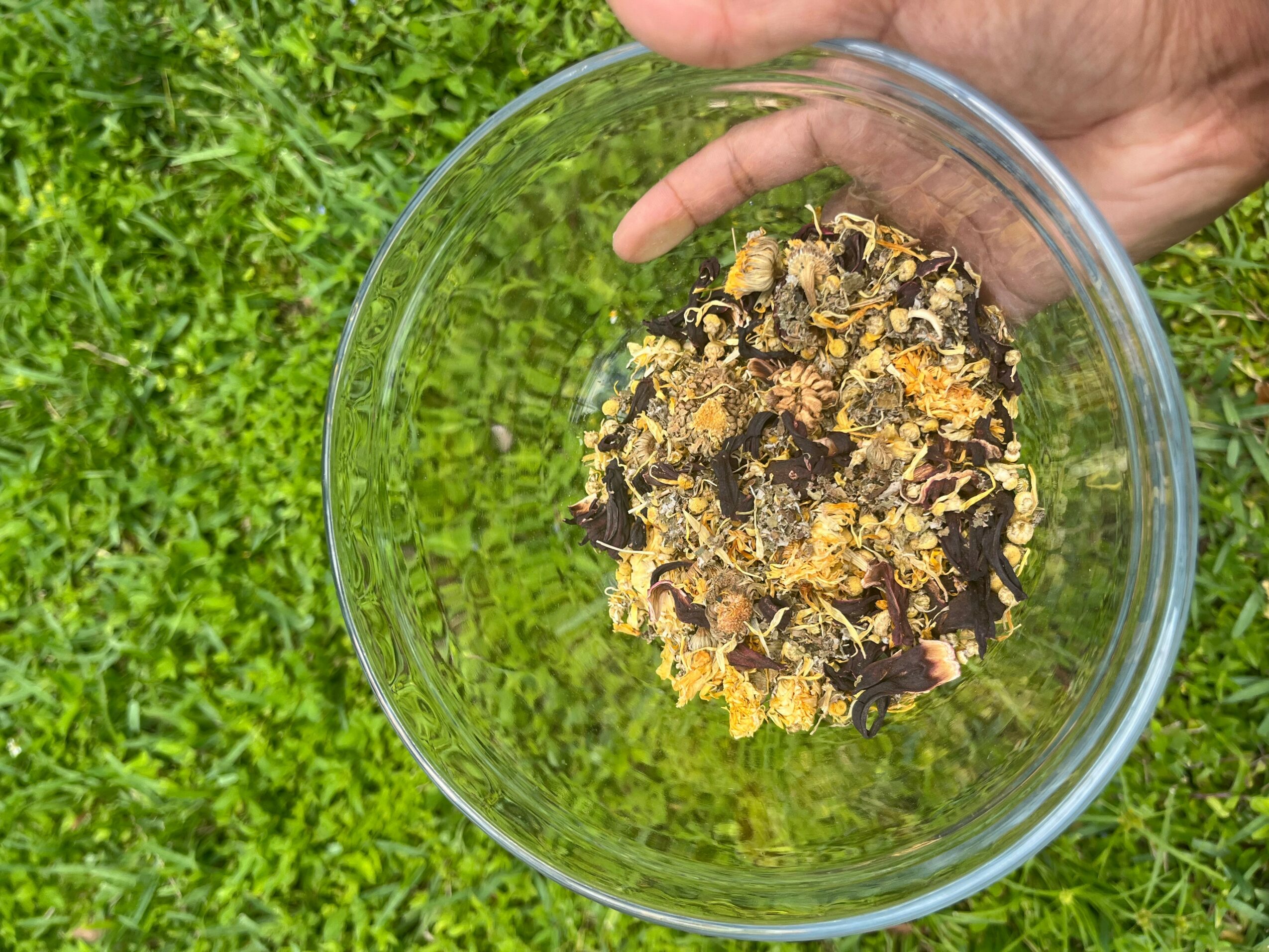 Hand holding a glass bowl with a mixture of cereal and dried fruit, against green grass background.
